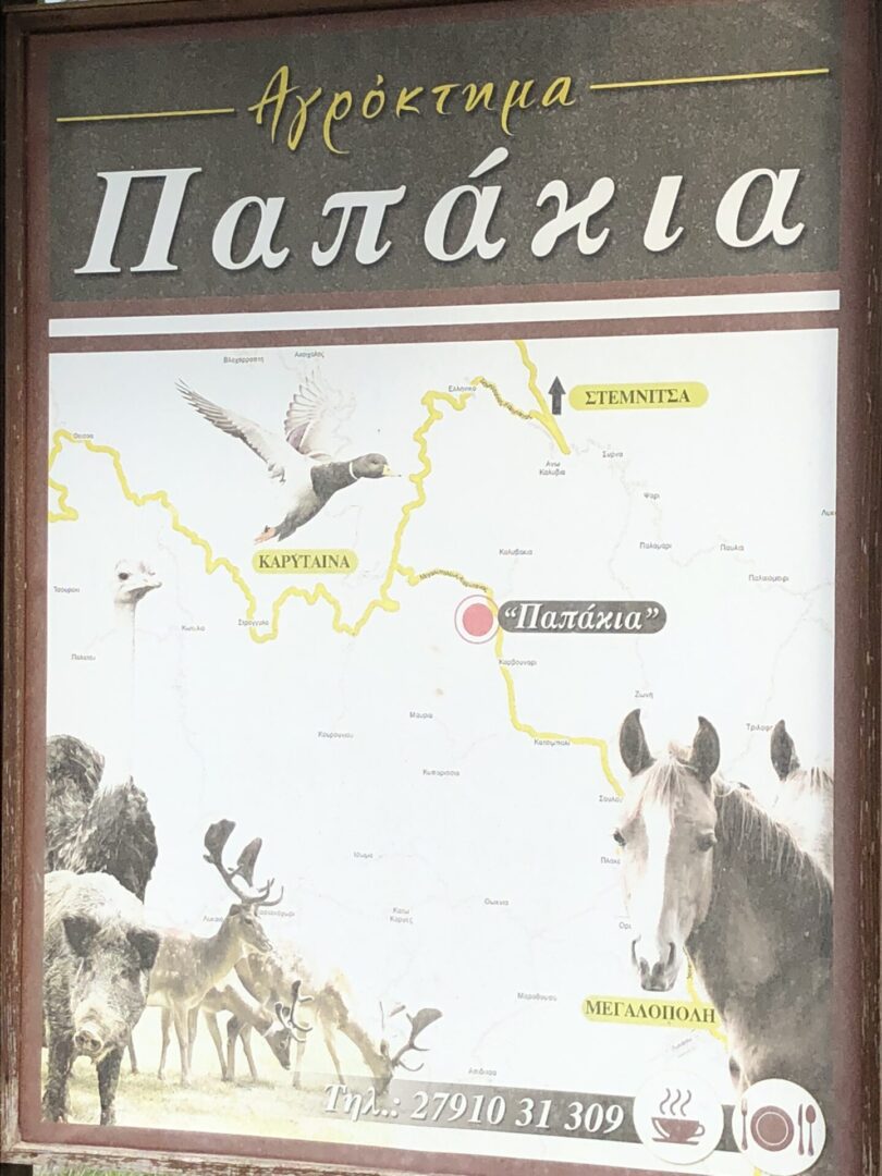 Map showing locations of various birds including ducks.