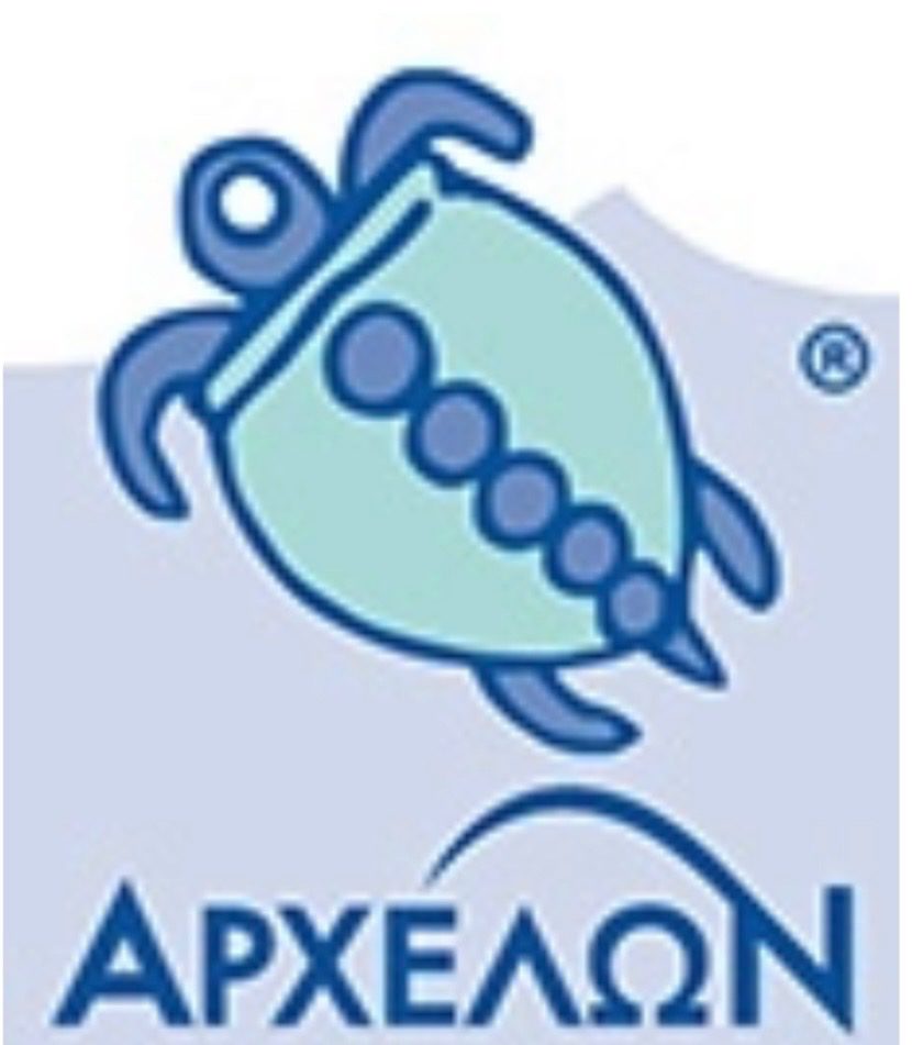 Logo featuring a stylized blue turtle with the text 'ARXEON'.